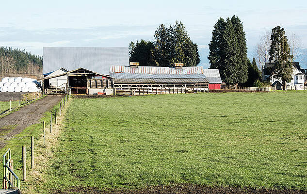 Farm Photograph - Quiet December Skagit Farm by Tom Cochran