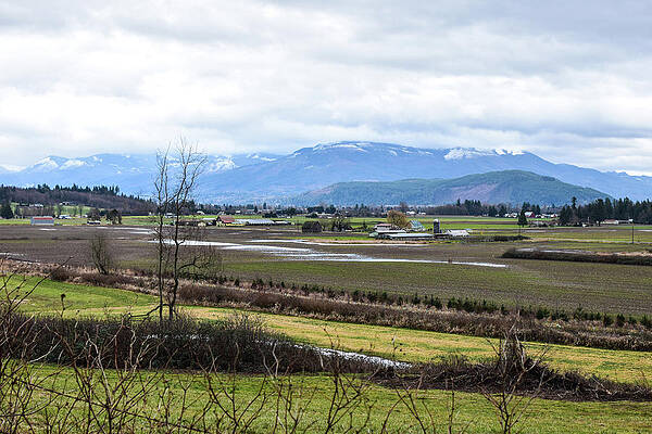 Farm Photograph - Quiet Farm Country by Tom Cochran