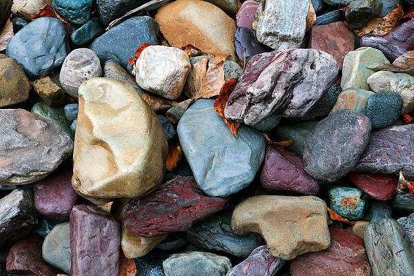 Beach Photograph - Rainbow Beach by Nicholas Blackwell