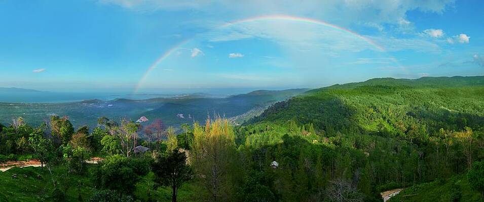 Rainbow Dream by Steven Robiner
