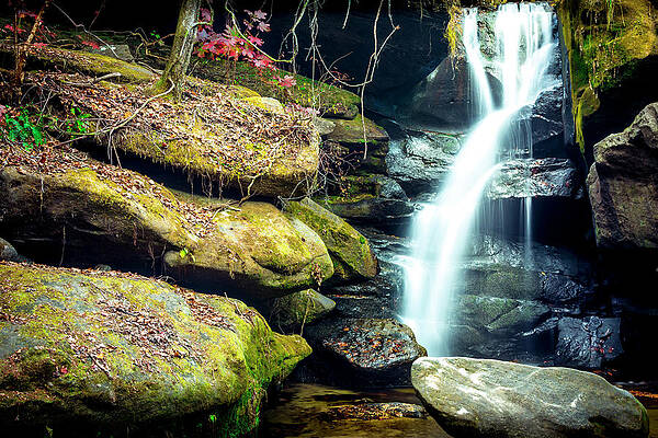Natural Photograph - Rainbow Falls At Dismals Canyon by David Morefield
