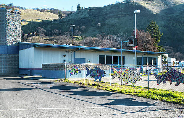 Washington Photograph - Rainbow Salmon by Tom Cochran