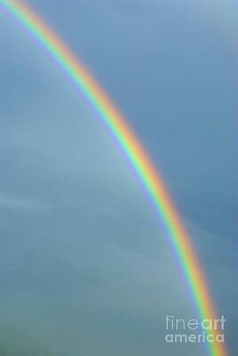 Nature Wall Art featuring the photograph Rainbow by Sami Sarkis Photography