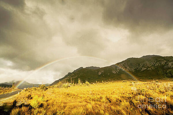 Natural Wall Art featuring the photograph Raindrops In Rainbows by Jorgo Photography