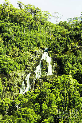 Natural Wall Art featuring the photograph Rainforest Rapids by Jorgo Photography