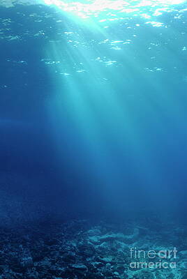 Outdoors Wall Art featuring the photograph Rays Of Sunlight Shining Into Sea Underwater View by Sami Sarkis Photography