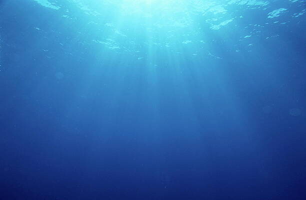 Wall Art featuring the photograph Rays Of Sunlight Shining Into Water by Sami Sarkis Photography