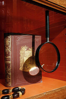 Mary Lee Photograph - Recipe For Disaster At The Museum by Mary Lee Dereske