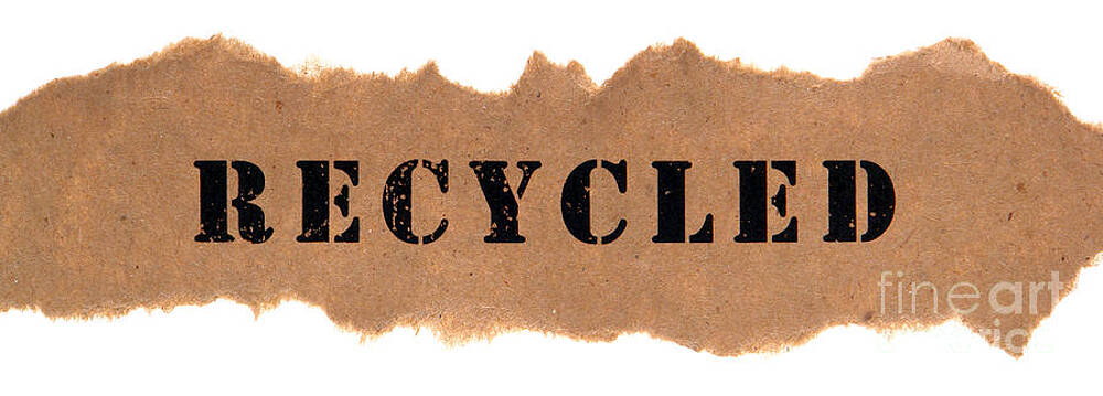 Wall Art featuring the photograph Recycled by Olivier Le Queinec