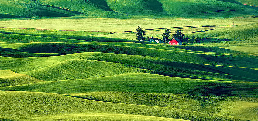 Washington Photograph - Red Barn by Mary Jo Allen