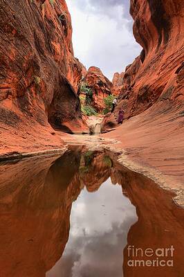 Desert Canyon Reflection Photograph