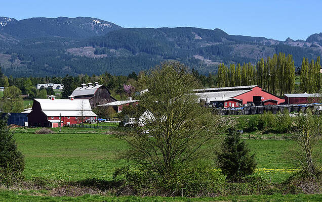 Farm Photograph - Red Dairy Farm by Tom Cochran