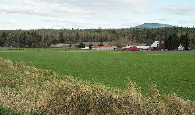 Farm Photograph - Red Farm On Old 99 by Tom Cochran