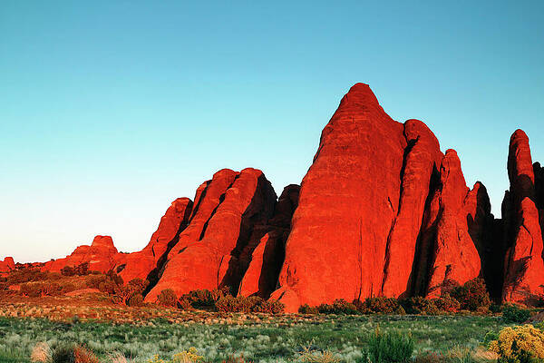 Desert Photograph - Red Fins by Nicholas Blackwell
