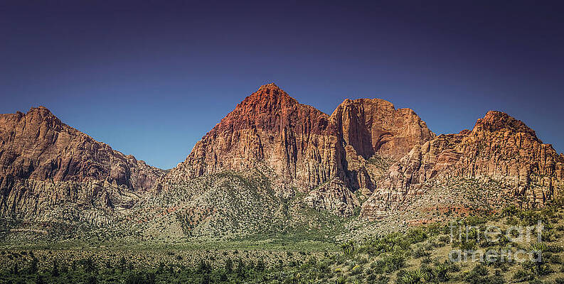 Wall Art featuring the photograph Red Rock Canyon #20 by Blake Webster