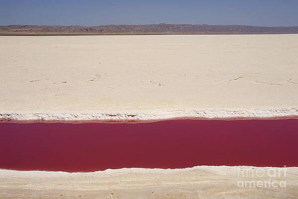 Outdoors Wall Art featuring the photograph Red Stream Of Water In Dry Salt Lake by Sami Sarkis Photography