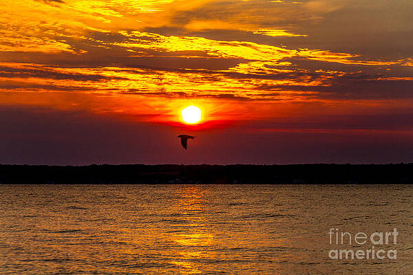 Sunrise Photograph - Redeye Flight by William Norton