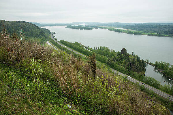 Sky Wall Art featuring the photograph Reed Island Under Gray Skies by Tom Cochran