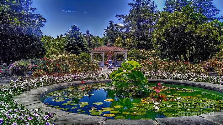 Wall Art featuring the photograph Reflecting Pool At Colonial Park by Christopher Lotito