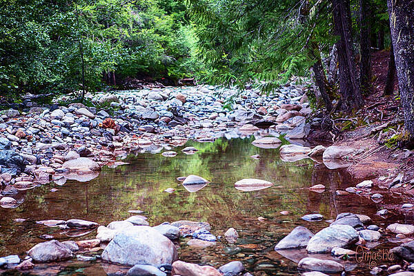 Wall Art featuring the photograph Reflecting Wilderness And Rocky Shorelines Landscape Artwork By by Omaste Witkowski