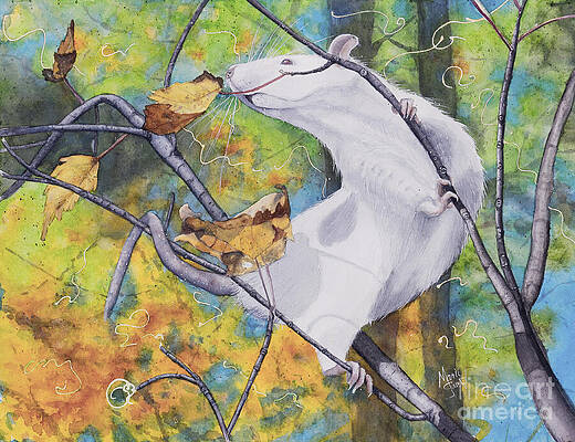 Wall Art featuring the painting Tree Tango by Marie Stone-van Vuuren