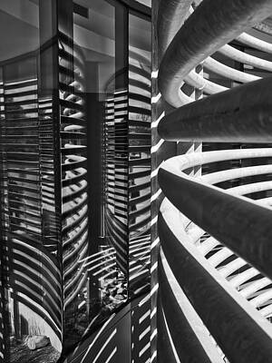 Reflection Photograph - Relfections And Shadows by Steven Ralser