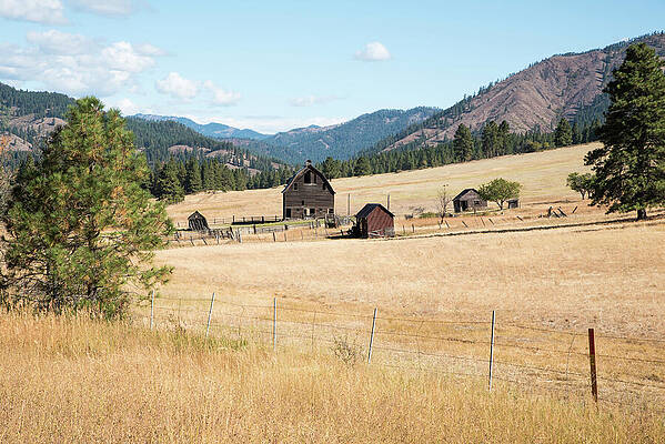 Wall Art featuring the photograph Remembered Promises On A Cascades Ranch by Tom Cochran