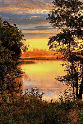 Wall Art featuring the photograph Rhinelander Flowage Golden Sunrise by Dale Kauzlaric