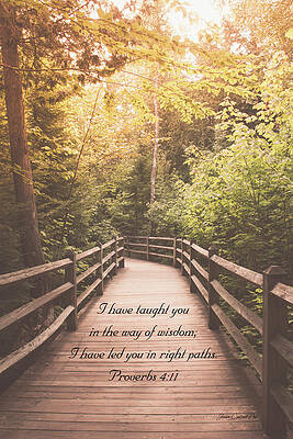 Summer Wall Art featuring the photograph Right Paths Proverbs 4 11 by Joann Copeland-Paul