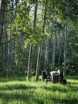 Mary Lee Photograph - Right Where He Left It by Mary Lee Dereske