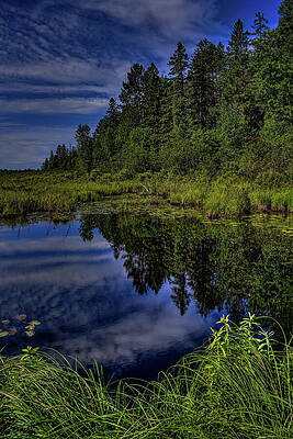 Wis Photograph - Riley Creek Pine Tree Reflection by Dale Kauzlaric