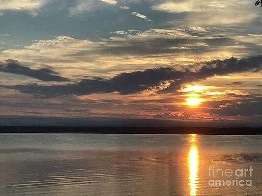 Sunrise Photograph - Rise And Shine by William Norton