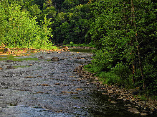 Wall Art featuring the photograph River 3 CT AT by Raymond Salani III