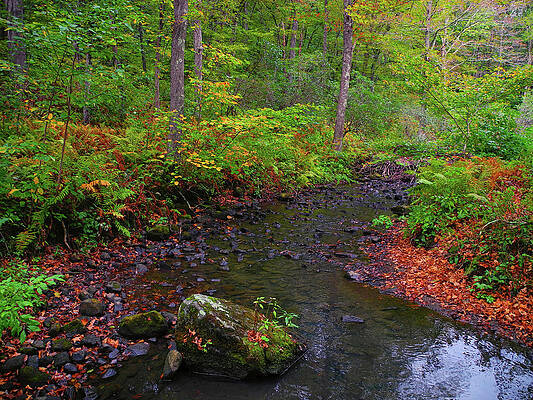 Wall Art featuring the photograph River Crossing On The Appalachian Trail In Connecticut by Raymond Salani III