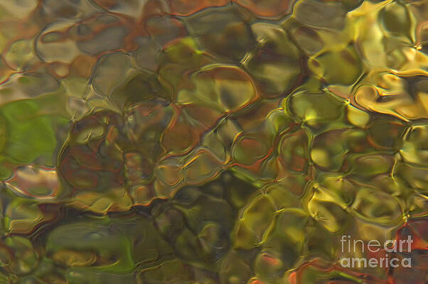 Reflection Wall Art featuring the photograph River Light Patterns by Clarence Holmes