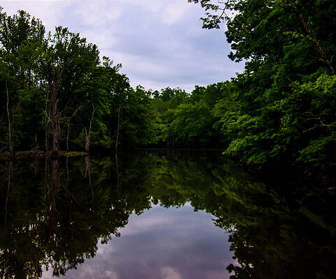 North Carolina Wall Art featuring the photograph River Reflections by Flees Photos
