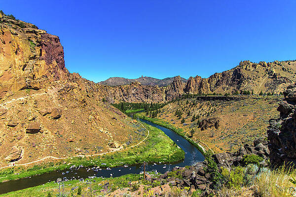 Tree Wall Art featuring the photograph River Through Mountains by Jonny D