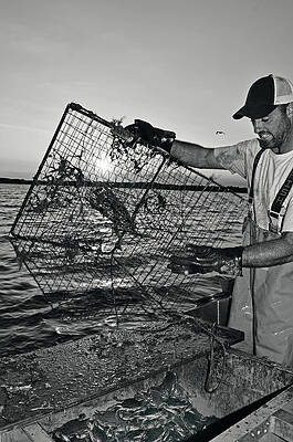 Water Wall Art featuring the photograph River's Bounty by La Dolce Vita