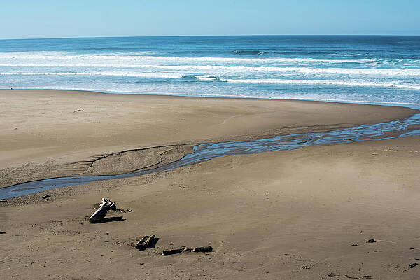 Oregon Wall Art featuring the photograph Rivulet by Tom Cochran