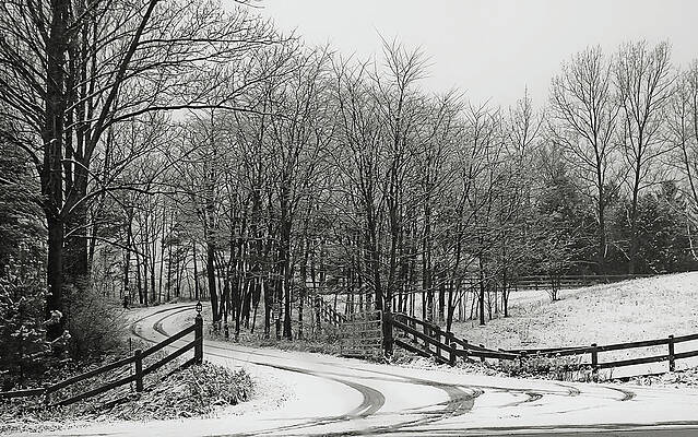 Serene Photograph - Road In The Snow Black And White by Tatiana Travelways