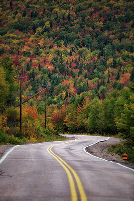 Wall Art featuring the photograph Road To Autumn by Alberto Audisio