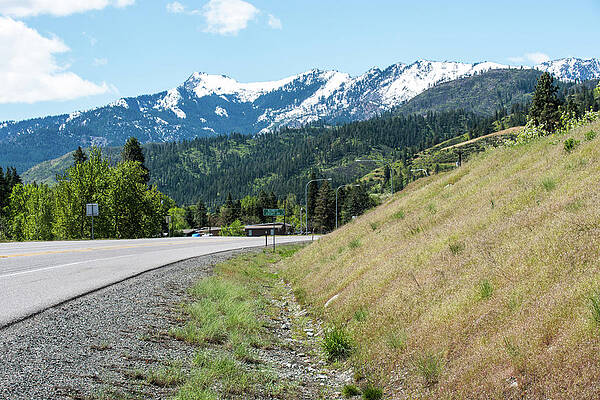 Spring Photograph - Road To Blewett Pass by Tom Cochran