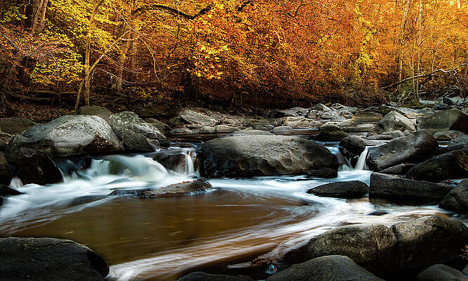Photograph - Rock Creek Park by Ed Clark