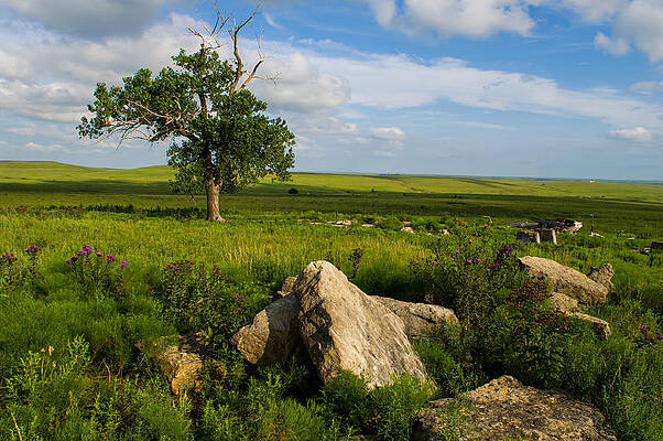Cloud Photograph - Rocks And Cottonwood 1 by Jeff Phillippi