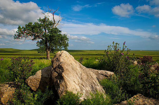 Cloud Photograph - Rocks And Cottonwood 2 by Jeff Phillippi
