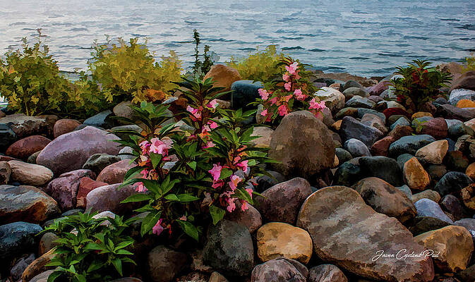 Summer Wall Art featuring the photograph Rocky Shores Of Lake St. Clair- Michigan by Joann Copeland-Paul