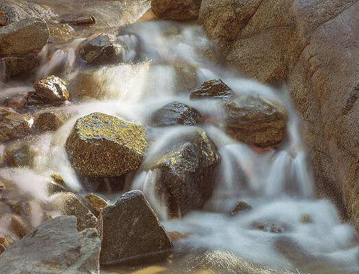 Nature Wall Art featuring the photograph Rocky Water by Ed Clark