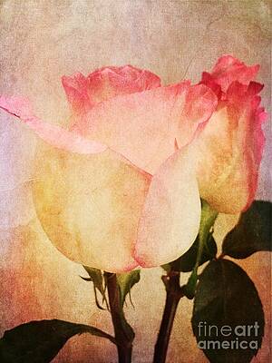 Abstract Photograph - Rosas by Onedayoneimage Photography