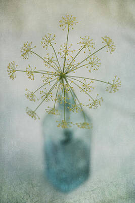 Delicate Dill in Blue Vase Wall Art