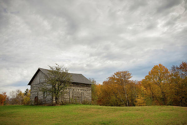 Wall Art featuring the photograph Rustic Cabin by Steve L'Italien